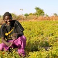 adama-thiaw.jpg
