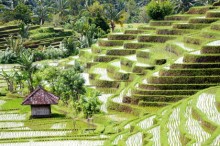 cambodia-agriculture-2027.jpg