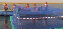 yalelo-image-02.jpg