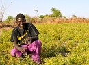 adama-thiaw.jpg