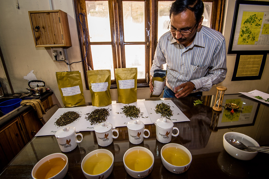 Algunos de los deliciosos t&eacute;s de alta calidad de DOTEPL en Darjeeling