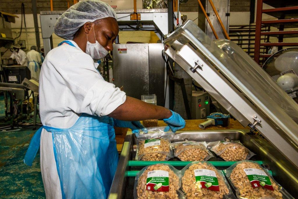 La nova màquina d'envasar, pagada amb el finançament d'Oikocredit