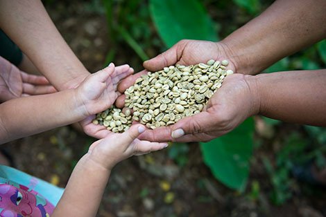 Manos con café de comercio justo