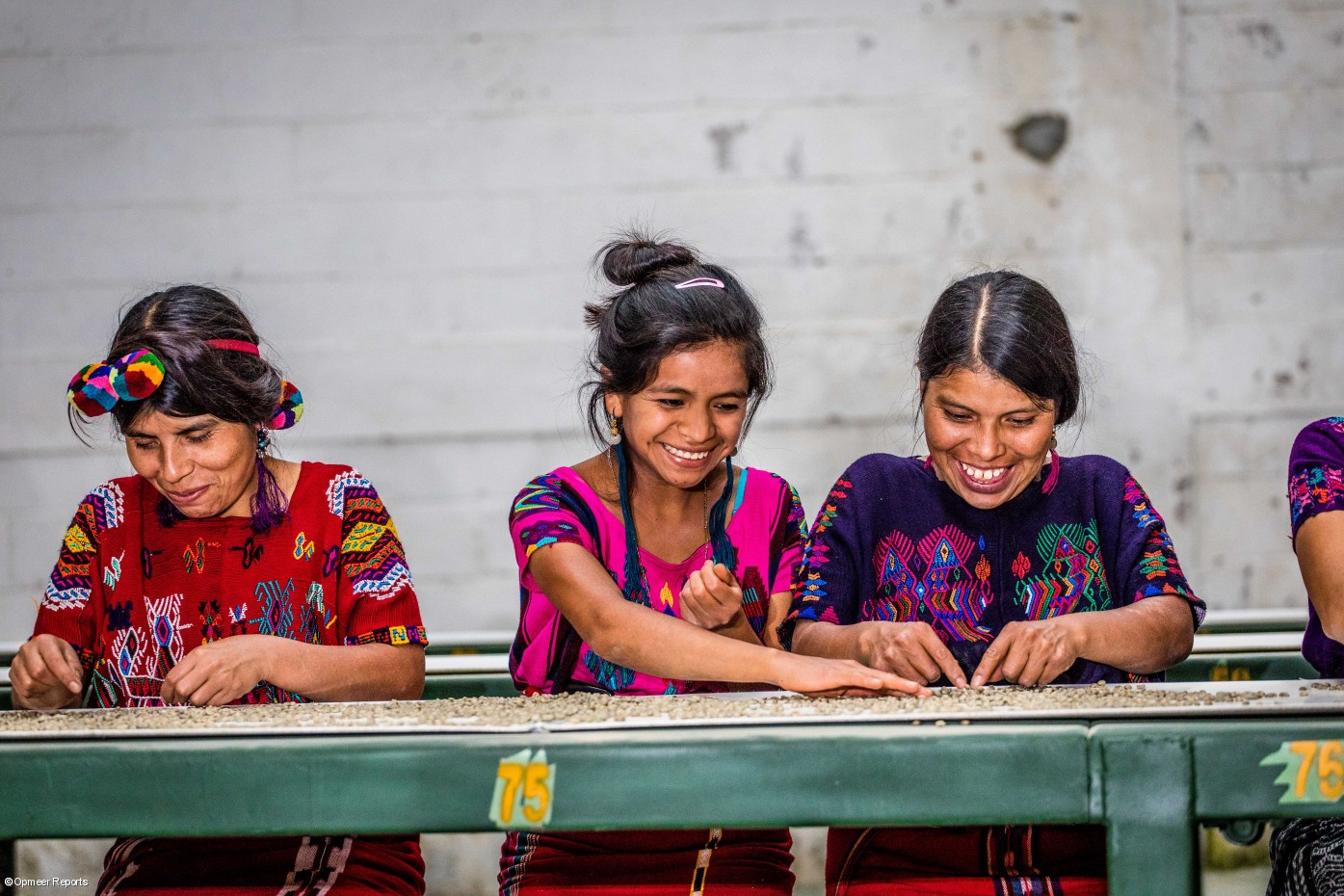 Clientes de l'organització agrícola Chajul, sòcia d'Oikocredit a Guatemala.