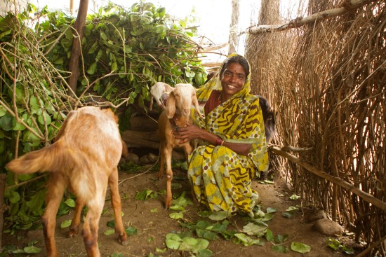 La Ms Kishnabai Meshram és clienta d'ESAF La Ms Kishnabai Meshram és clienta d'ESAF