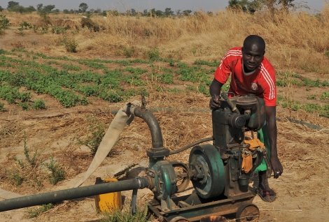 Amadou Ndiaga N'Dong és un client final d'una organització a la qual Oikocredit dóna suport, O-IMCEC, al Senegal.