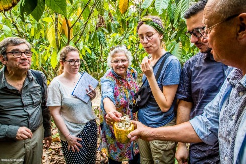 La muestra de una vaina de cacao fresco y maduro
