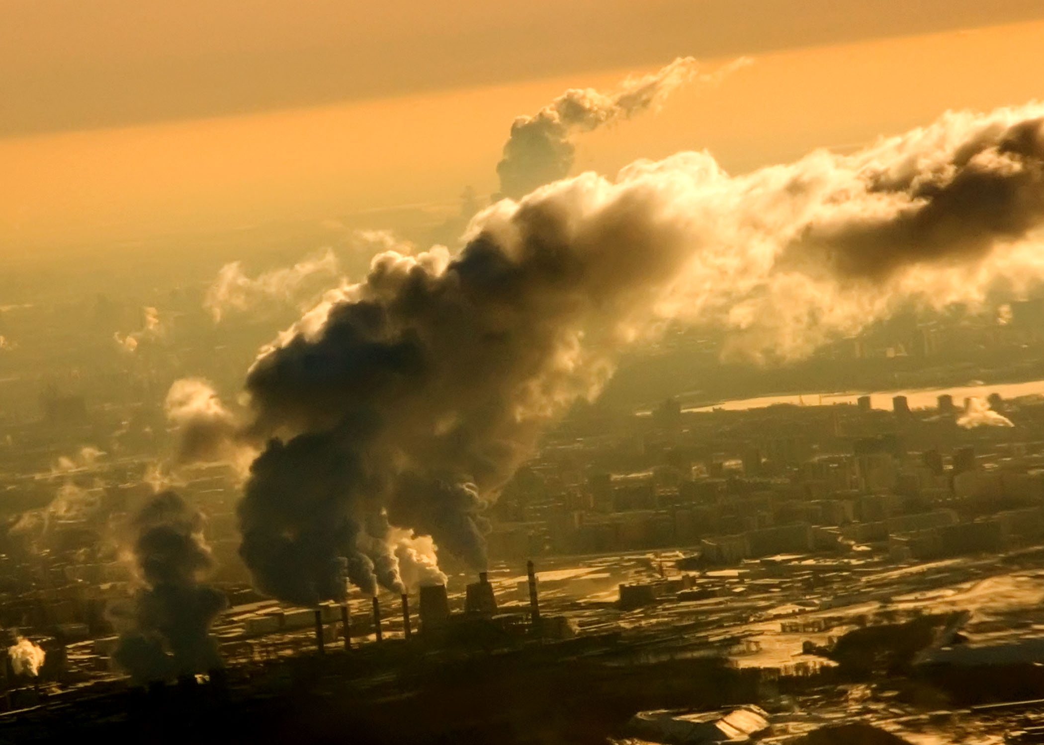 350.org Desinversión