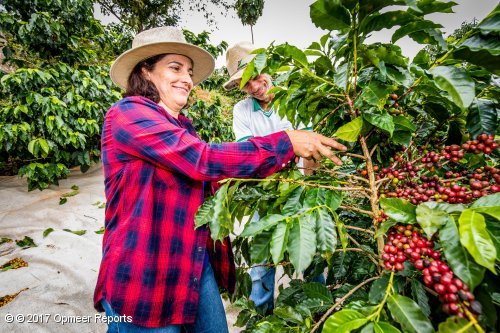 V&acirc;nia Lucia Pereira da Silva
