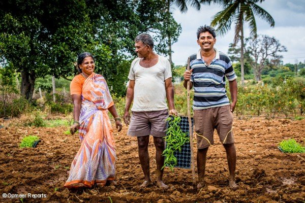 El Agricultor y cliente de Y-Cook client Krishna Muthy (derecha) con sus padres en su campo de maiz El Agricultor y cliente de Y-Cook client Krishna Muthy (derecha) con sus padres en su campo de maiz