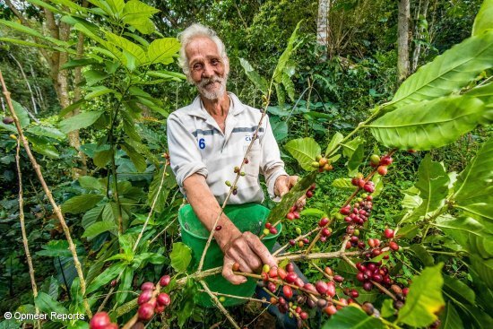Paulino Sanchez Samaniego kafe batzen Paulino Sanchez Samaniego kafe batzen