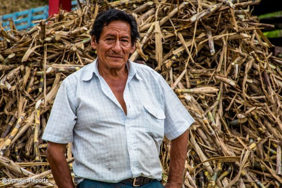 Pedro Bastidas, azukre fabrika baten jabea eta Contactar EM erakundeko bezeroa.